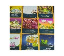 BARBASCURA X - EVOLVERSI MALE -Magasin De Jouets Pour Bébés Et Tout-Petits barbascura x evolversi male ms edizioni 4