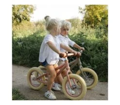 Little Dutch BICI SENZA PEDALI DI EQUILIBRIO IN METALLO - ROSA 10 Little Dutch BICI SENZA PEDALI DI EQUILIBRIO IN METALLO - ROSA -Magasin De Jouets Pour Bébés Et Tout-Petits bici senza pedali di equilibrio in metallo rosa little dutch 3