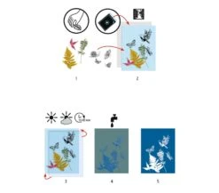 Djeco CARTA PER CIANOTIPIA - STARTER KIT -Magasin De Jouets Pour Bébés Et Tout-Petits carta per cianotipia starter kit DJ09339 djeco 2