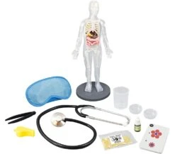 BUKI CORPO UMANO - MODELLINO E ESPERIMENTI -Magasin De Jouets Pour Bébés Et Tout-Petits corpo umano modellino e esperimenti buki 2