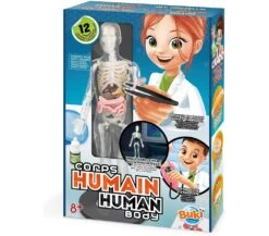 BUKI CORPO UMANO - MODELLINO E ESPERIMENTI