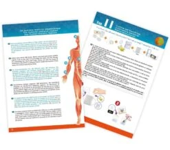 BUKI CORPO UMANO - MODELLINO E ESPERIMENTI -Magasin De Jouets Pour Bébés Et Tout-Petits corpo umano modellino e esperimenti buki 3