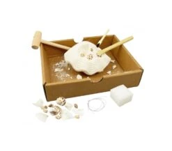 BUKI DIG KIT - CONCHIGLIE DA SCAVARE -Magasin De Jouets Pour Bébés Et Tout-Petits dig kit conchiglie da scavare buki 2