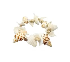 BUKI DIG KIT - CONCHIGLIE DA SCAVARE -Magasin De Jouets Pour Bébés Et Tout-Petits dig kit conchiglie da scavare buki 3