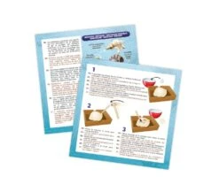 BUKI DIG KIT - CONCHIGLIE DA SCAVARE -Magasin De Jouets Pour Bébés Et Tout-Petits dig kit conchiglie da scavare buki 4