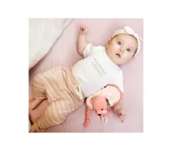 Lilliputiens DOUDOU STRACCETTO - ANAIS IL FENICOTTERO -Magasin De Jouets Pour Bébés Et Tout-Petits doudou straccetto anais il fenicottero 83117 lilliputiens 2