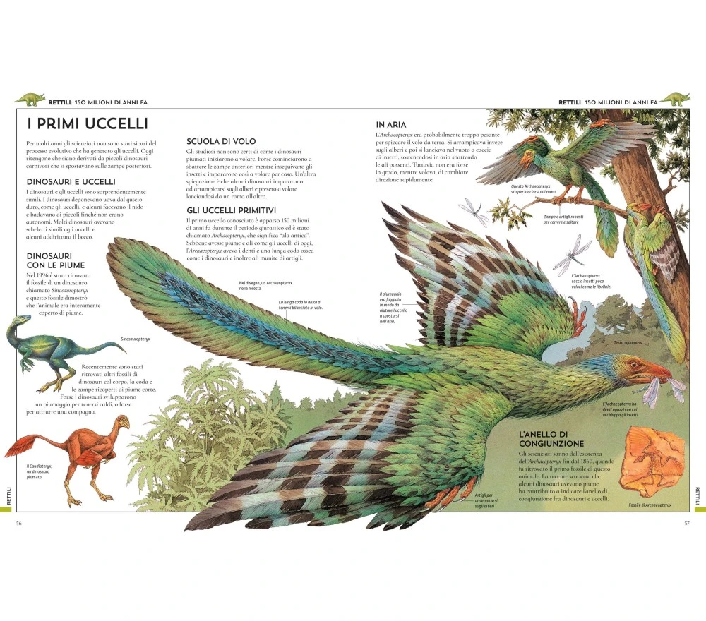 ENCICLOPEDIA DELLA STORIA DEL MONDO 5 ENCICLOPEDIA DELLA STORIA DEL MONDO – Image 3