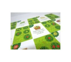 GROVE - SOLITARIO -Magasin De Jouets Pour Bébés Et Tout-Petits grove gioco solitario in 9 carte gog 4