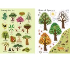 LIBRO CON ADESIVI - GLI ALBERI -Magasin De Jouets Pour Bébés Et Tout-Petits libro con adesivi gli alberi 9781803702360 usborne 3
