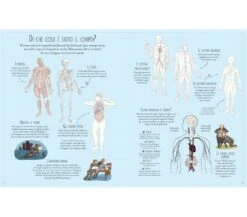 LIBRO CON ADESIVI - IL CORPO UMANO -Magasin De Jouets Pour Bébés Et Tout-Petits libro con adesivi il corpo umano 9781409563174 usborne 2