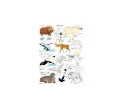 LIBRO CON ADESIVI - LA NATURA -Magasin De Jouets Pour Bébés Et Tout-Petits libro con adesivi la natura 9781474907712 usborne 2