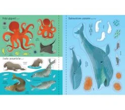LIBRO CON ADESIVI - MERAVIGLIE DEI MARI -Magasin De Jouets Pour Bébés Et Tout-Petits libro con adesivi meraviglie dei mari 9781474980401 usborne 2