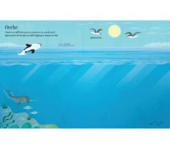 LIBRO CON ADESIVI - MERAVIGLIE DEI MARI -Magasin De Jouets Pour Bébés Et Tout-Petits libro con adesivi meraviglie dei mari 9781474980401 usborne 5