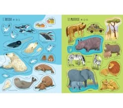 LIBRO CON ADESIVI - PIANETA TERRA -Magasin De Jouets Pour Bébés Et Tout-Petits libro con adesivi pianeta terra 9781801318129 usborne 3