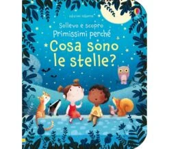 COSA SONO LE STELLE?