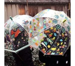 Djeco OMBRELLO TRASPARENTE - RANOCCHI -Magasin De Jouets Pour Bébés Et Tout-Petits ombrello trasparente ranocchi djeco 1