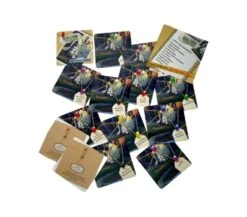 PICCOLE INDAGINI SU STORIE INCREDIBILI