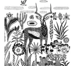 Djeco QUADRI CIANOTIPIA - SAVANA NOTTURNA -Magasin De Jouets Pour Bébés Et Tout-Petits quadri cianotipia savana notturna DJ09343 djeco 5