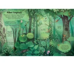 SOLLEVO E SCOPRIO - GLI ALBERI -Magasin De Jouets Pour Bébés Et Tout-Petits sollevo e scoprio gli alberi 9781803703169 usborne 2