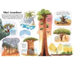 SOLLEVO E SCOPRIO - GLI ALBERI -Magasin De Jouets Pour Bébés Et Tout-Petits sollevo e scoprio gli alberi 9781803703169 usborne 3