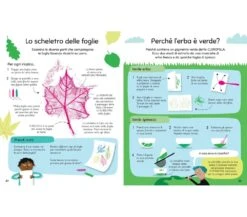SPERIMENTA CON LA SCIENZA -Magasin De Jouets Pour Bébés Et Tout-Petits sperimenta con la scienza 9781803705132 USBORNE 2