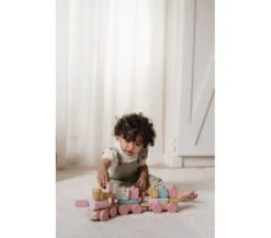 Little Dutch TRENINO IN LEGNO BLOCCHI - FAIRY GARDEN -Magasin De Jouets Pour Bébés Et Tout-Petits trenino in legno blocchi fairy garden LD7354 little dutch 3